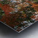 Hidden Trail in Autumn Leaves Metal print