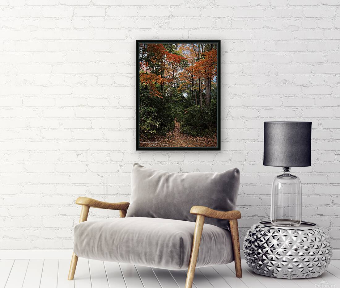 Hidden Trail in Autumn Leaves Reproduction