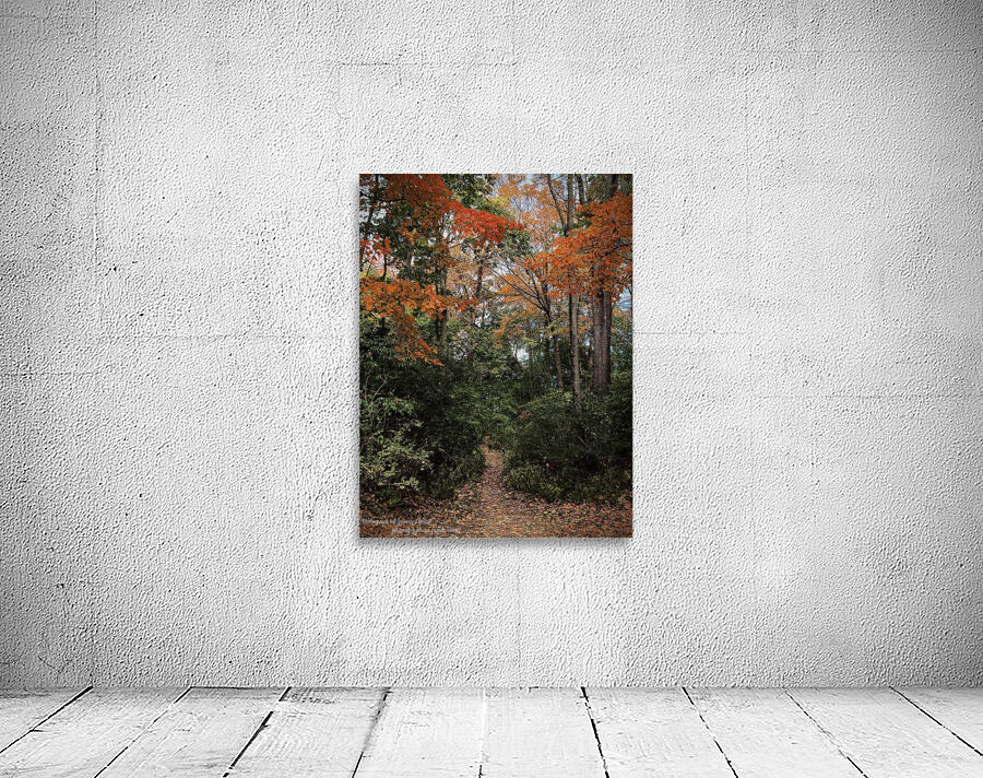 Hidden Trail in Autumn Leaves Wall Preview