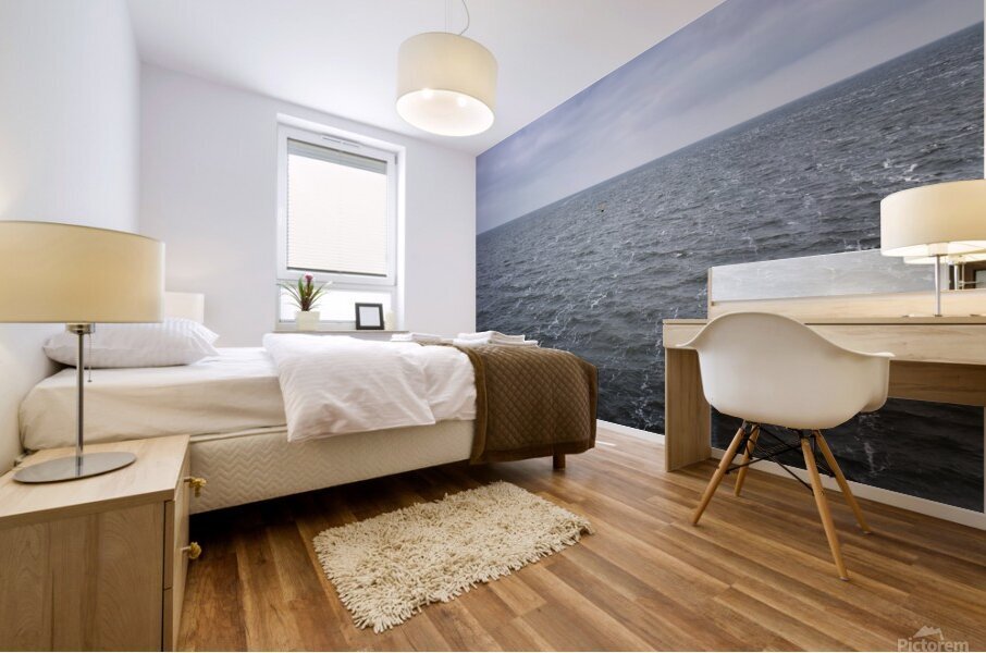 Wadden 013 Mural print