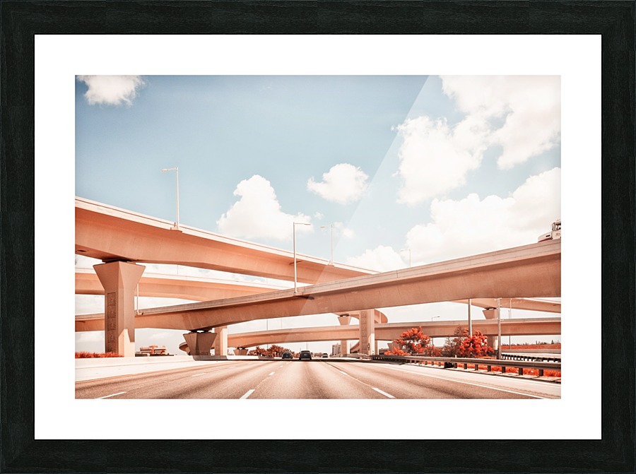 Dolphin Expressway 002 Picture Frame print