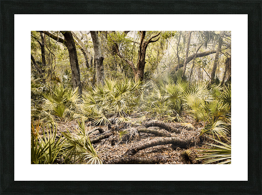 OCA 251 Picture Frame print