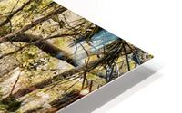 OCA 251 HD Metal print