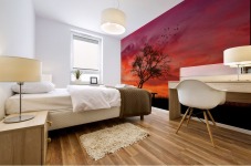 lonely sunset Mural print