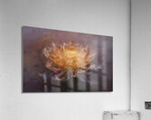 abstract oil painting of flowers 48 Acrylic Print