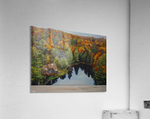 NATURE Acrylic Print