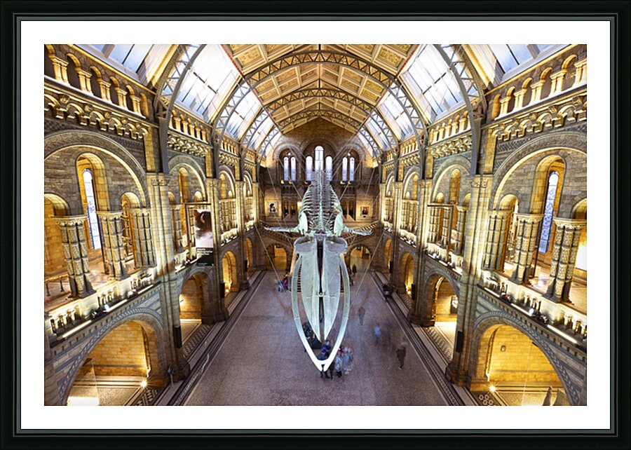 Night At The Museum Picture Frame print