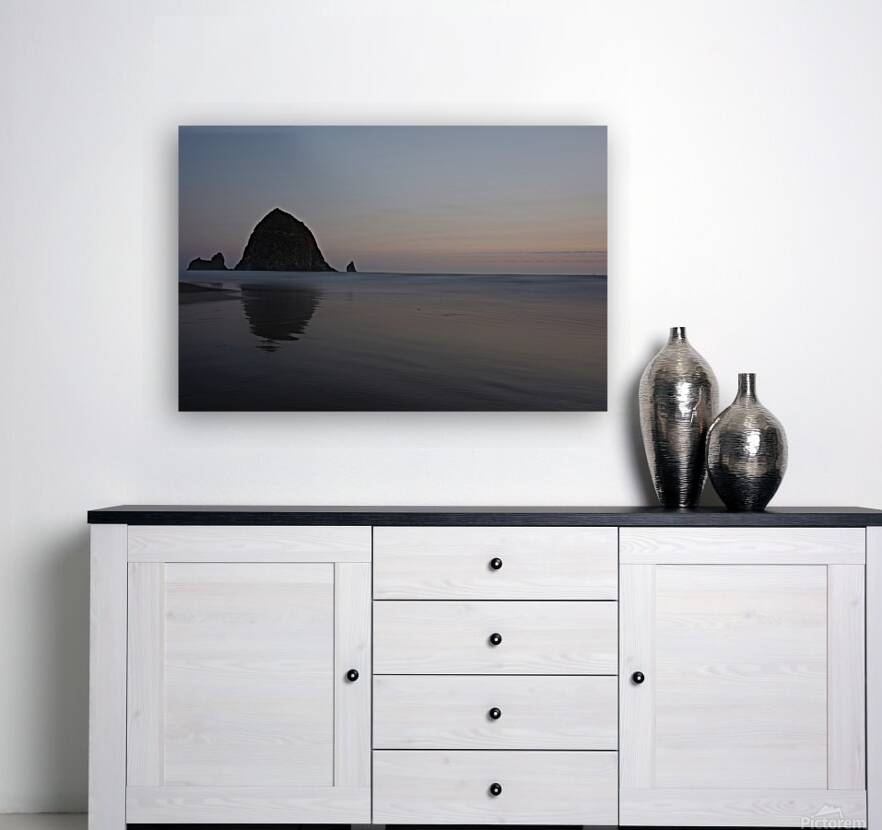                        Haystack Rock         Reproduction