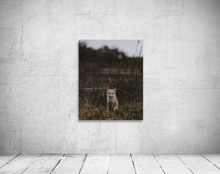 Baby Fox Wall Preview