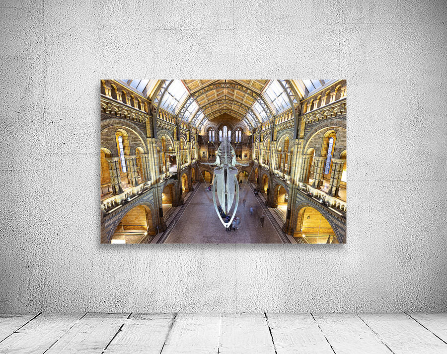 Night At The Museum Wall Preview