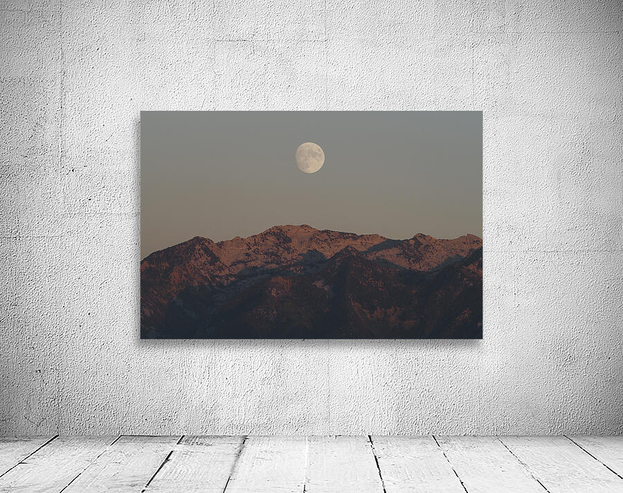 Moonrise Wall Preview