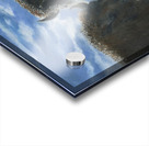 Winter Wisdom Acrylic print