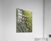 River Wanderer Acrylic Print