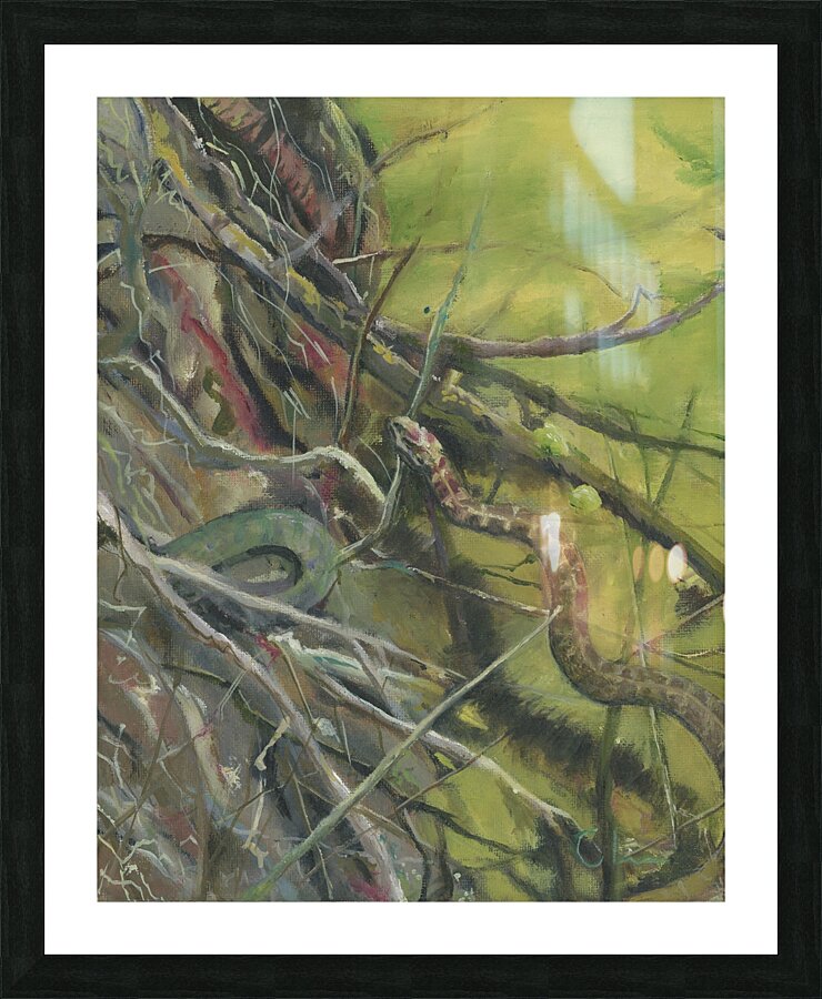 River Wanderer Picture Frame print