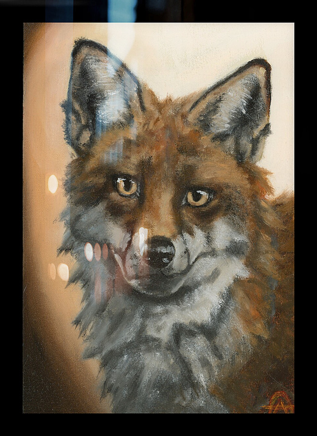 Vulpes Picture Frame print