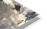 Gestation  HD Metal print