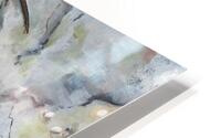 Salamander HD Metal print