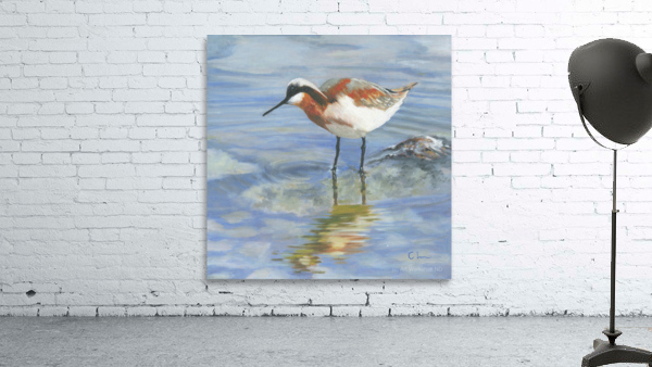 Phalaropes Pursuit Wall Preview
