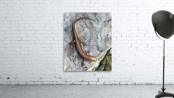 Salamander Wall Preview