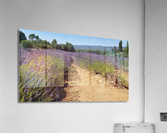 20200713 162517 Acrylic Print