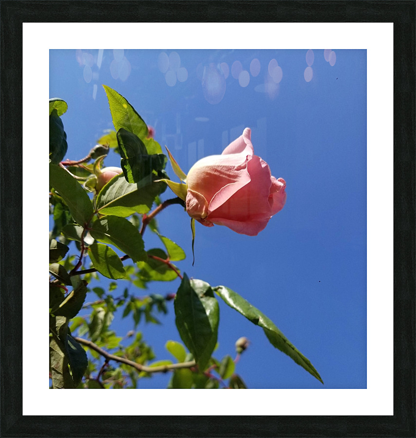 20200410 155824 Picture Frame print