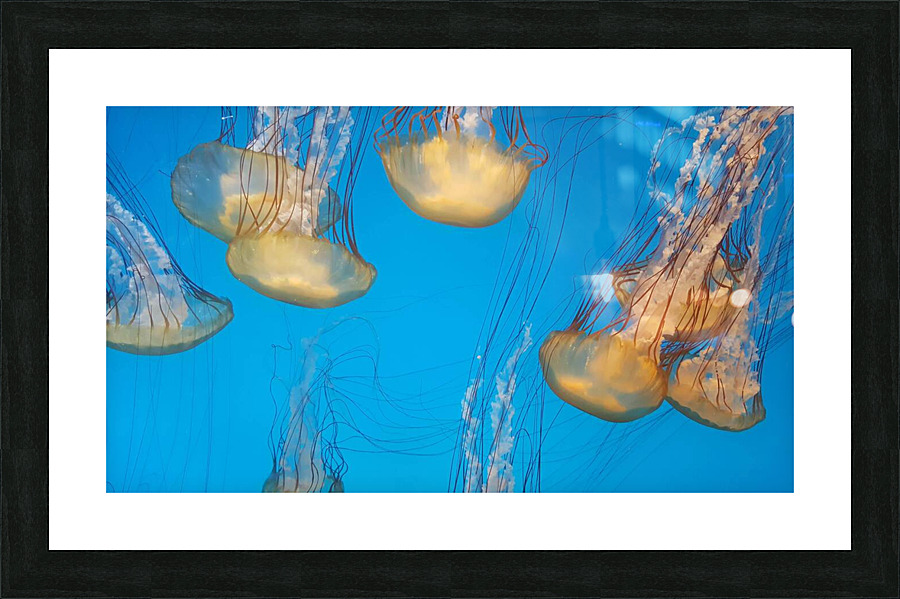 20181004 142124 Picture Frame print