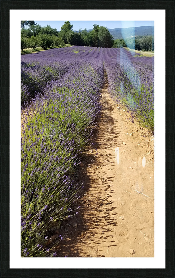 20200713 162522 Picture Frame print