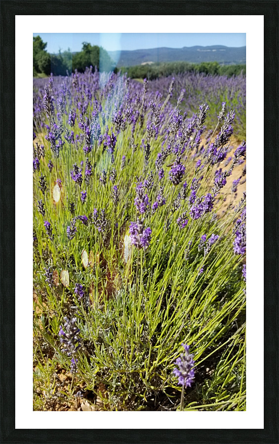20200713 162539 Picture Frame print