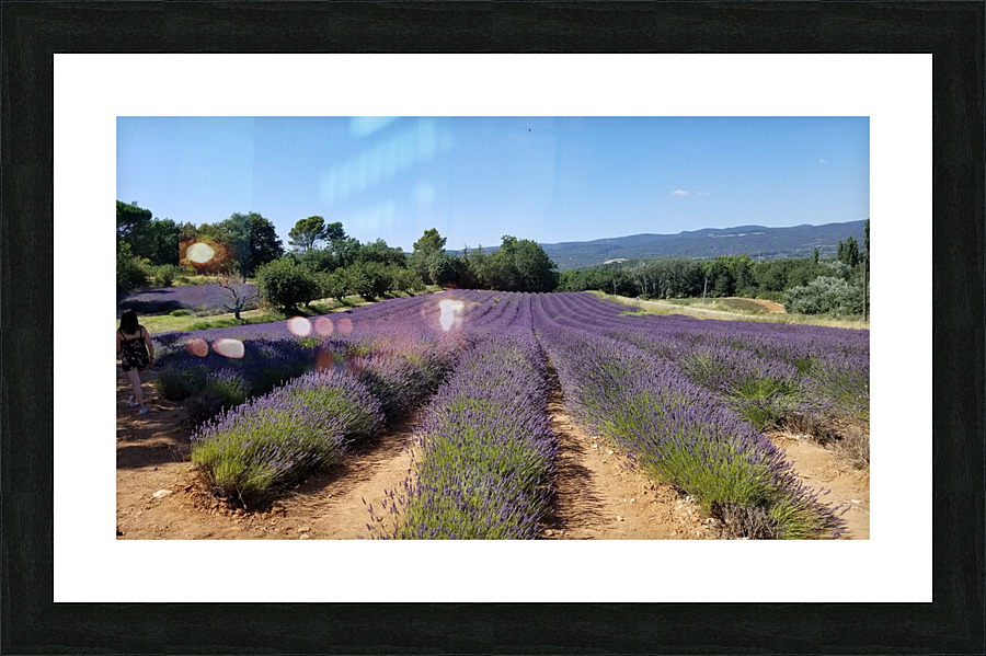 20200713 162511 Picture Frame print
