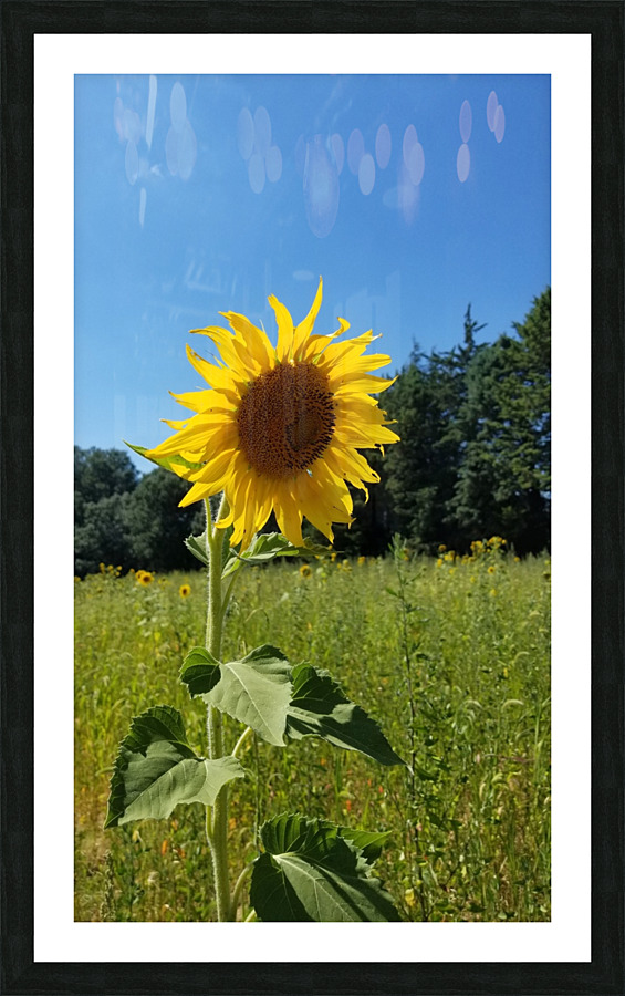 20200713 161032 Picture Frame print