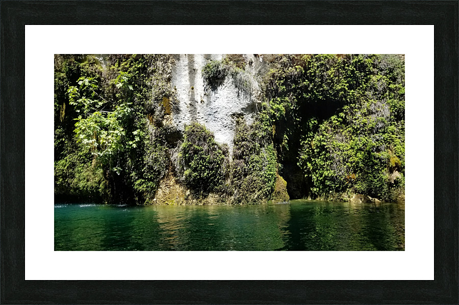 20200727 145258 Picture Frame print