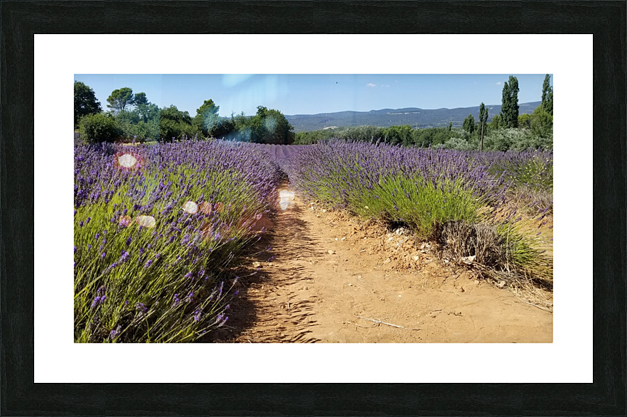 20200713 162517 Picture Frame print