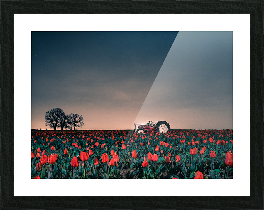 Tractors & Tulips Picture Frame print