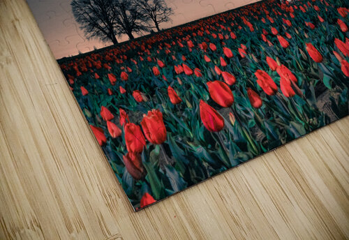 Tractors & Tulips Ben Jackman puzzle