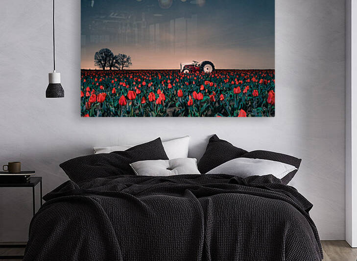 Tractors & Tulips by Ben Jackman