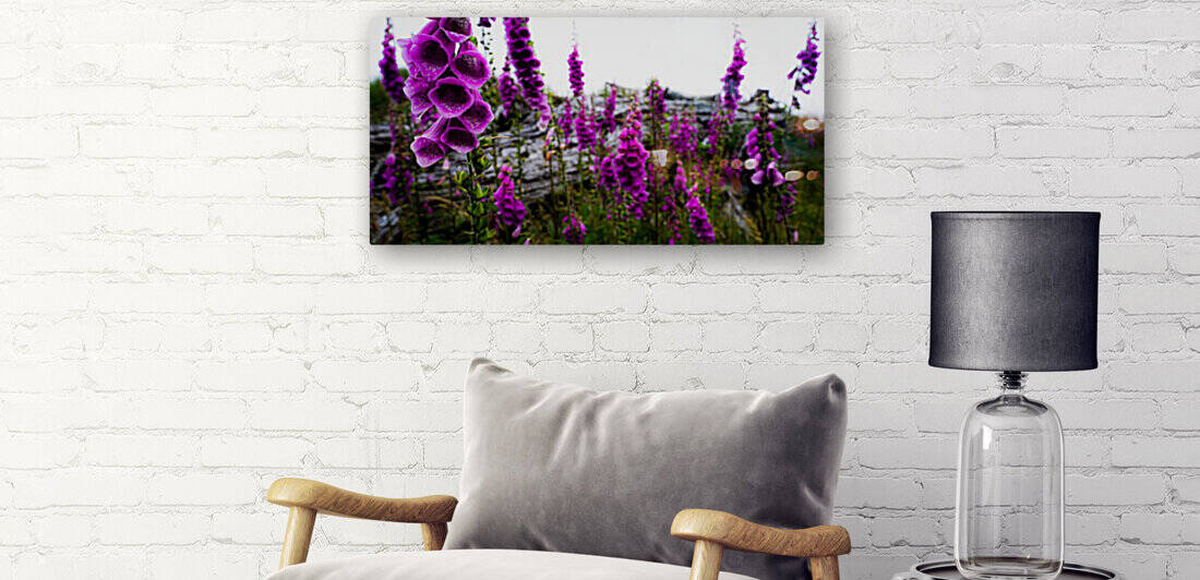 Foxgloves by Ben Jackman