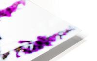 Foxgloves HD Metal print