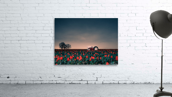 Tractors & Tulips Wall Preview