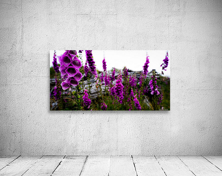 Foxgloves Wall Preview