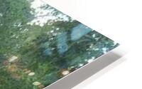 Guatemala 2003 7 HD Metal print