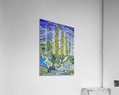 van gogh dig Acrylic Print