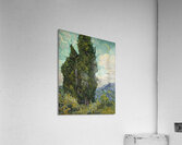 Vincent Van Gogh 0016 Acrylic Print