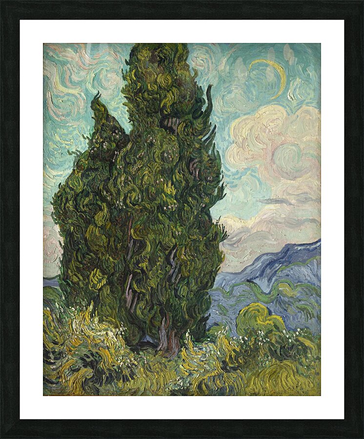 Vincent Van Gogh 0016 Picture Frame print