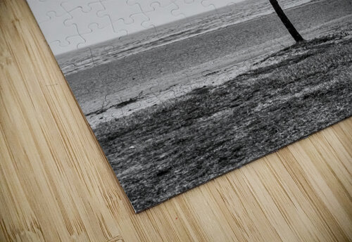 Lone Tree Beach Brian Rucker puzzle