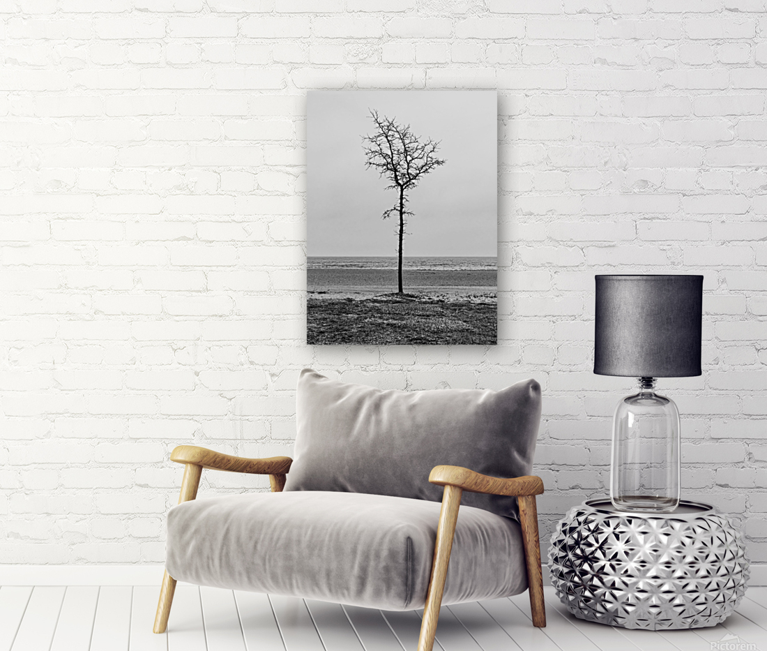 Lone Tree Beach Reproduction