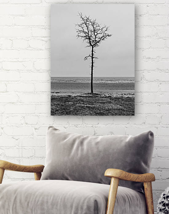 Lone Tree Beach by Brian Rucker