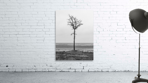 Lone Tree Beach Wall Preview