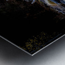 IMG 7561 4 Metal print