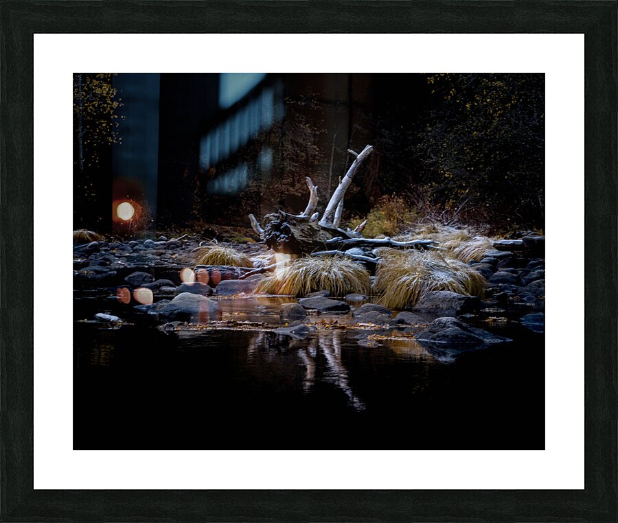 IMG 7561 4 Picture Frame print