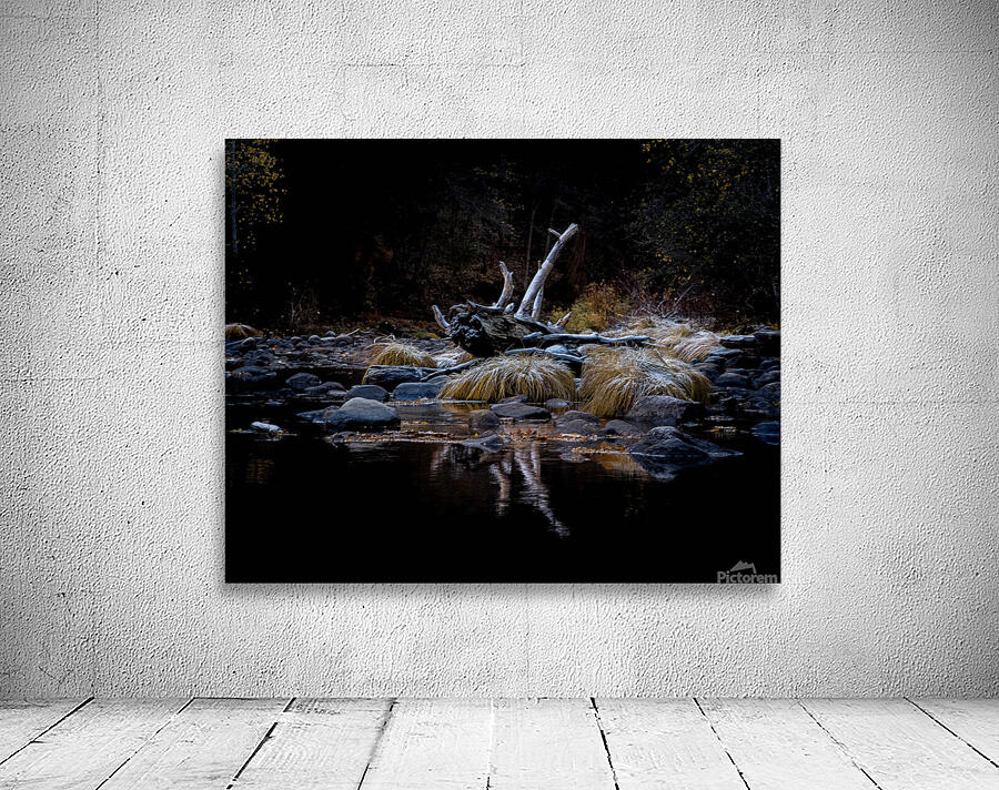 IMG 7561 4 Wall Preview